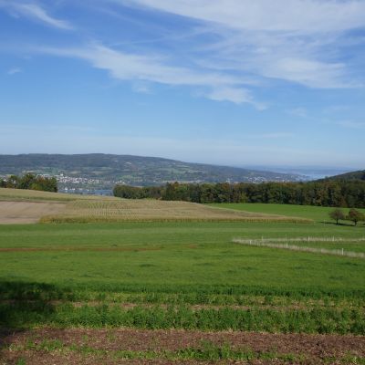 063 Blick über den Untersee nach Öhningen